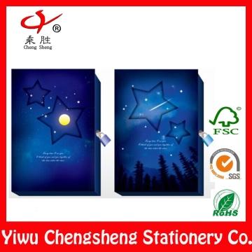 professional notebook/professional note book/professional book