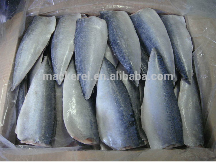 Mackerel Fillets Prezzo Pacifico doppio filetto Fresh Catch in Casella nave da cibo Sea Frage Fish SCOMBR SCOMBRO TIPI DI