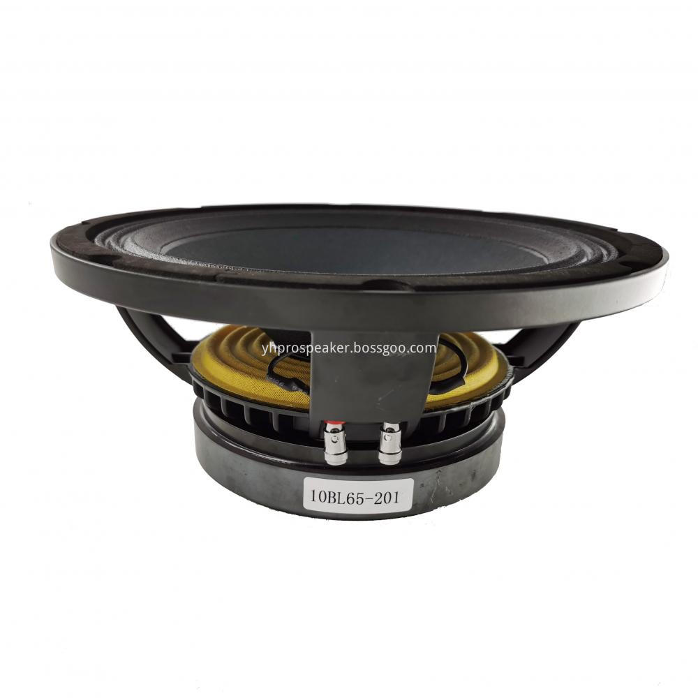 Professional 10 Inch Music DJ Speaker 