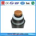 64/110(123)kv XLPE insulated power cable with KEMA Test Report