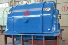 Micro Steam Turbine Electric Generator QNP