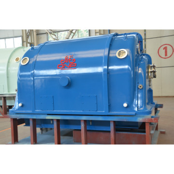 Household Steam Turbine Generator