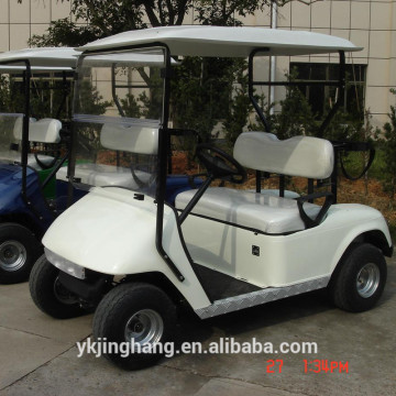 golf type two seater electric mini car/2-10 seater electric golf car