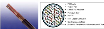 Skin/Foam Insulated Telecommunication Cables Cellular Cable