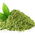 Óleo essencial para chá verde no atacado para difusor 100% puro natural