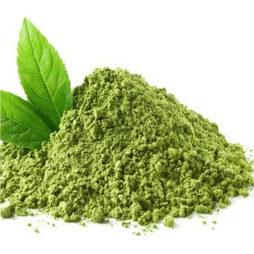 Aceite esencial del té verde al por mayor para difusor 100% puro natural