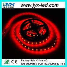 High Quality Strip LED Decorative Lights SMD5050 30LED/Meter 150LEDS Waterproof 12V LED Strip Light Decorative Lights