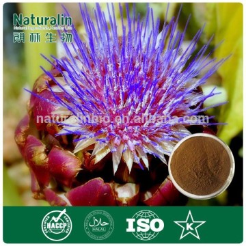 Manufacturer Supply Artichoke Leaf Extract Powder