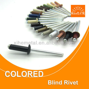 Standard aluminum pop rivets colored Leading Guangdong Rivets Manufacturers