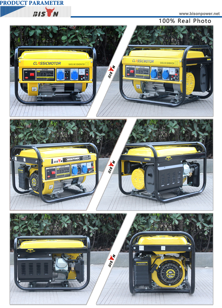 BISON(CHINA) BS2500P Recoil Start Petrol 2kw Gasoline Portable Power Generator