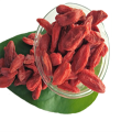 Vente chaude séchée organique certifié Goji berry / wolfberry