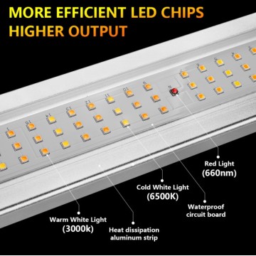 Factory Dicret Farming LED LED LIGUNDA 640W