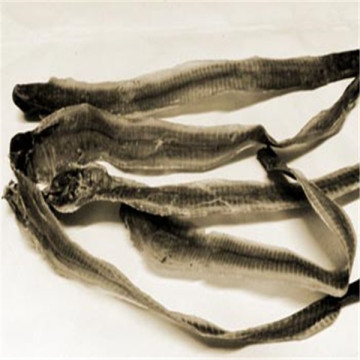 Natural Earthworm Geosaurus rainworm  Pheretima dried body