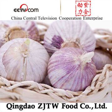 Low Pesticide Residues China Elephant Garlic