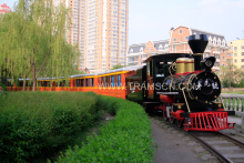 cheap Amusement Electric Track Train
