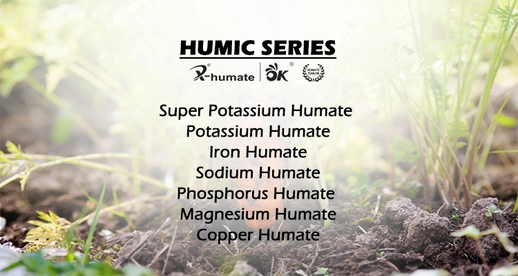 High Quality Raw Material Organic Fertilizer Humic Acid