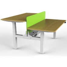 Electric Back-to-Back Lifting Bench Desk for Modern Ergonomic Workstation