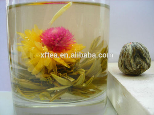 oriental beauty blooming tea/tea factory/tea plant