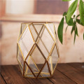 Succulent Moss Flower Pot Containers Clear Glass Planter Tabletop Geometric Decorative Terrarium