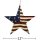 Metal Patriotik Glory Americana Flag Barn Star