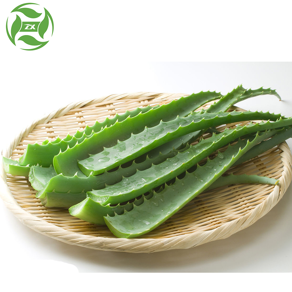 Cura della pelle Gel di aloe vera naturale al 100%