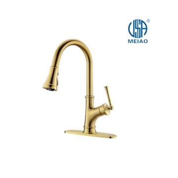 Gouden keuken faucet mei pull down sprayer