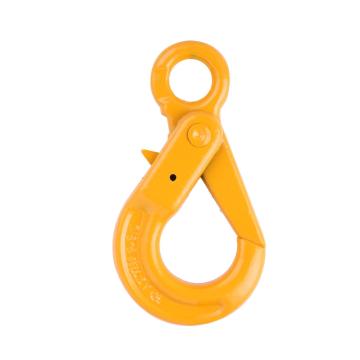 G80 EUROPEAN TYPE EYE SELF-BLOCKING HOOK