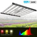 Phlizon 640W de Grow Light Grow Light de espectro completo