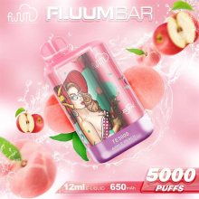 Fluum Bar TE5000 Puffs descartáveis ​​VAPE PEN E-CIGARETTE