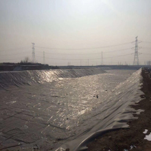 Black Geomembrane 1mm for Canal