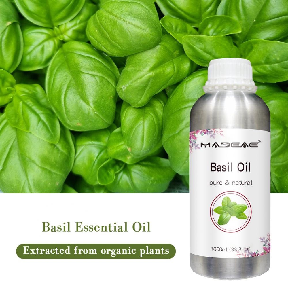 Pure Basil Oil Ocimum Basilium Essential Oil bulk quantity Pure Basil Oil
