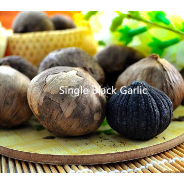 SINGLE BULB BLACK GARLIC PRICE