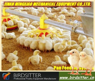 Modern popular chicken raising equipment for sale