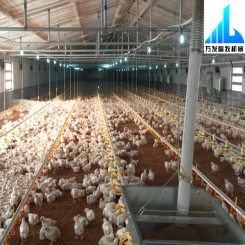 design modern free range broilers and chicken poultry equipment