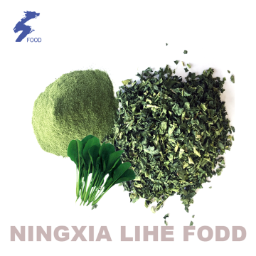 Dried Spinach powder dehydrated spinach powder
