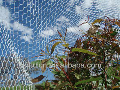 diamond /hexagon mesh bird netting