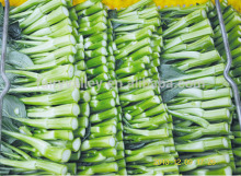 Hybrid green cabbage seeds for growing-Chinese Flowering Cabbage