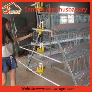 Poultry farming equipment A type chicken poultry layer cages