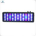 Luce per acquario dimmerabile con barriera corallina a LED