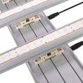 Spettro completo delle luci progressive a LED ad alta PPFD