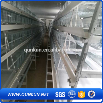 Efficient poultry farm design layer chicken cages for kenya hen farm