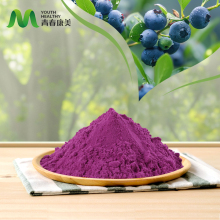 High Quality Blueberry Extract