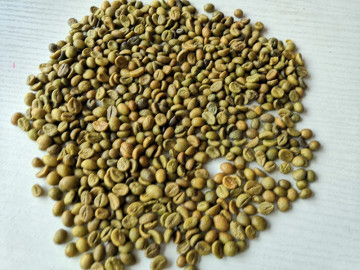 Green Coffee Bean Plant Extract