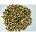 Green Coffee Bean Extract Total Chlorogenic Acids 50%