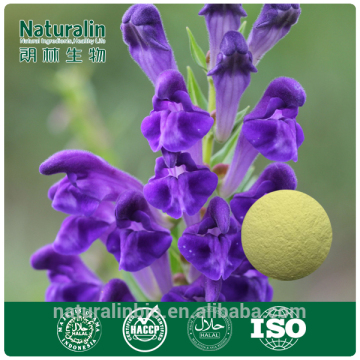 Baical skullcap herb extract. 20%-95%UV. baicalin /flavonoisd