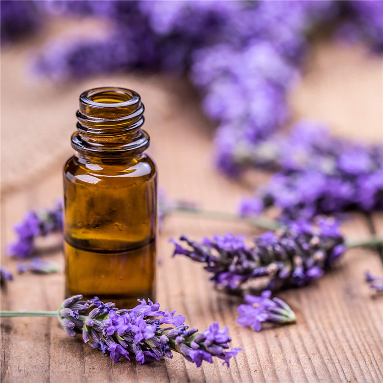 Organic Lavender Essential Oil Wholesale