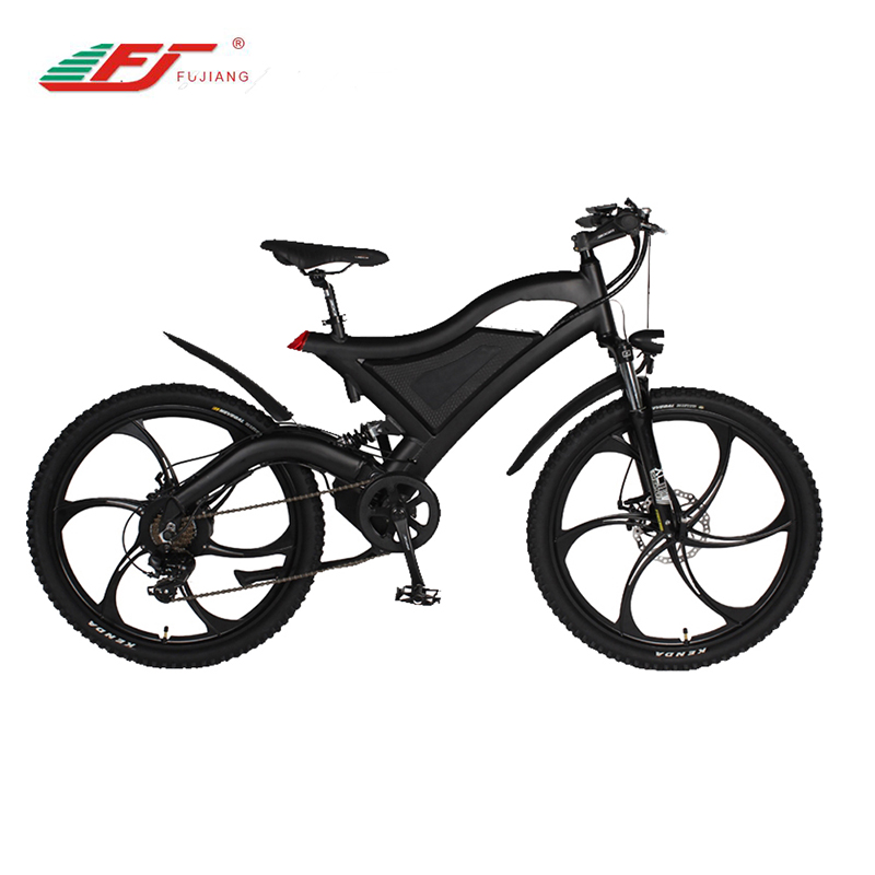 E Bike 1