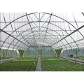 Factory Price Easily Installed Agricultural Greenhouse