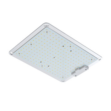 LED Grow Light untuk Tanaman Berkebun Dalam Ruangan