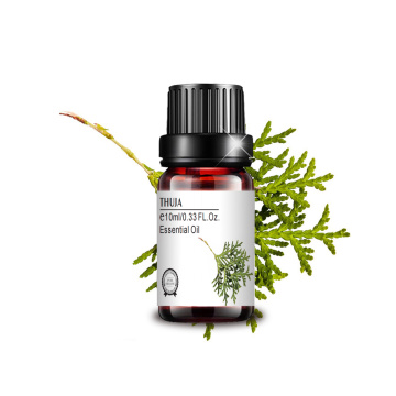 Massagem de petróleo da marca privada de grau terapêutica Natural Thuja